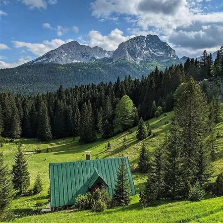 Vila Magic Mountain Žabljak Exteriér fotografie