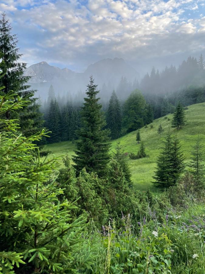 Vila Magic Mountain Žabljak Exteriér fotografie