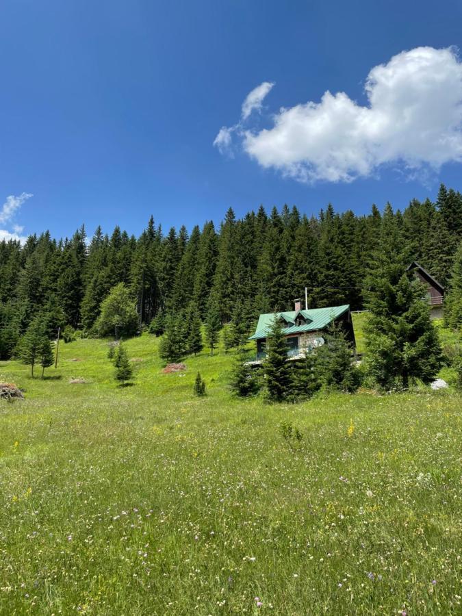 Vila Magic Mountain Žabljak Exteriér fotografie