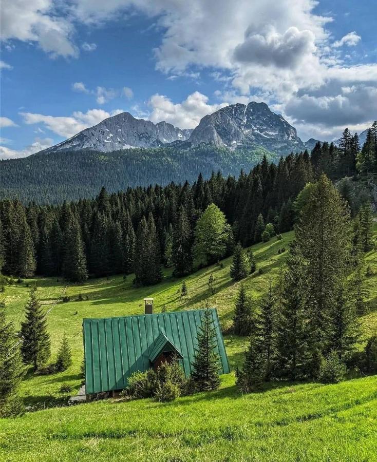 Vila Magic Mountain Žabljak Exteriér fotografie