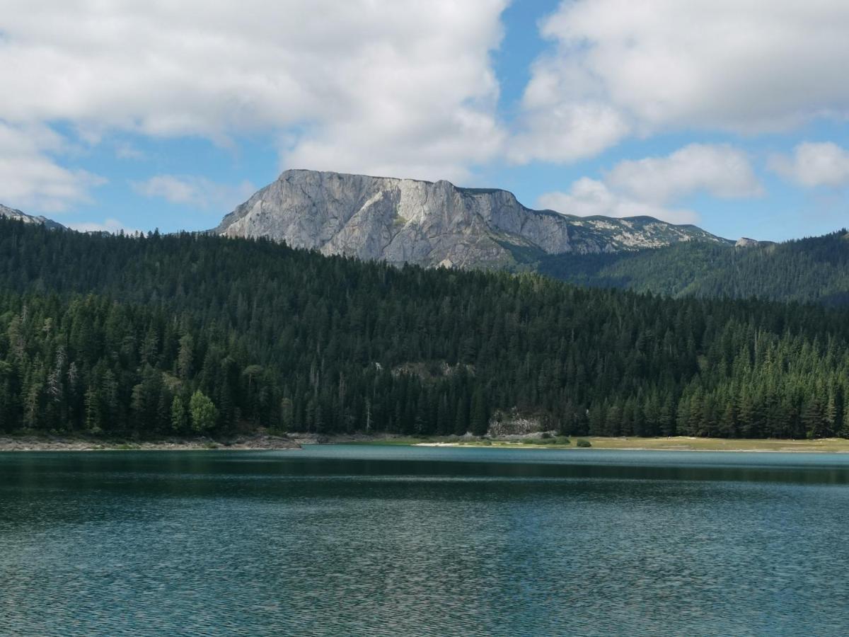Vila Magic Mountain Žabljak Exteriér fotografie