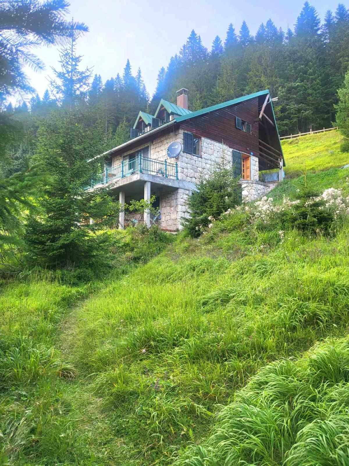 Vila Magic Mountain Žabljak Exteriér fotografie