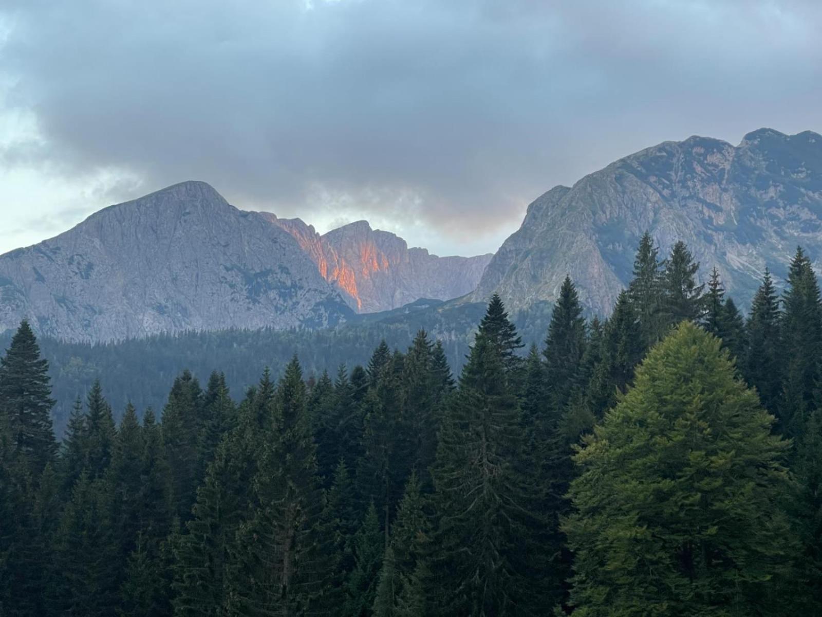 Vila Magic Mountain Žabljak Exteriér fotografie