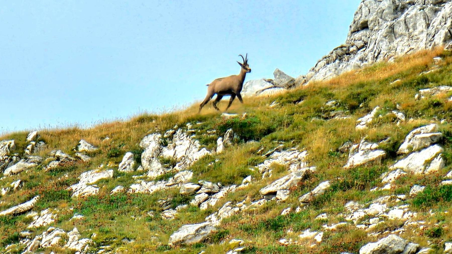 Vila Magic Mountain Žabljak Exteriér fotografie